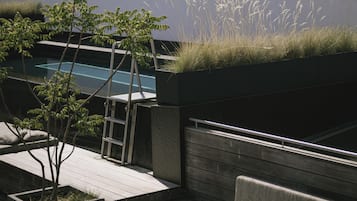 Rooftop pool