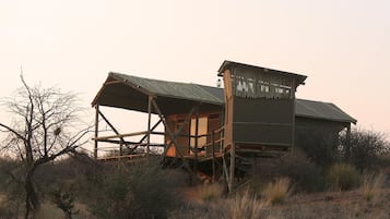 A rustic cabin with a metal roof and wooden structure, surrounded by dry grass and sparse trees.
