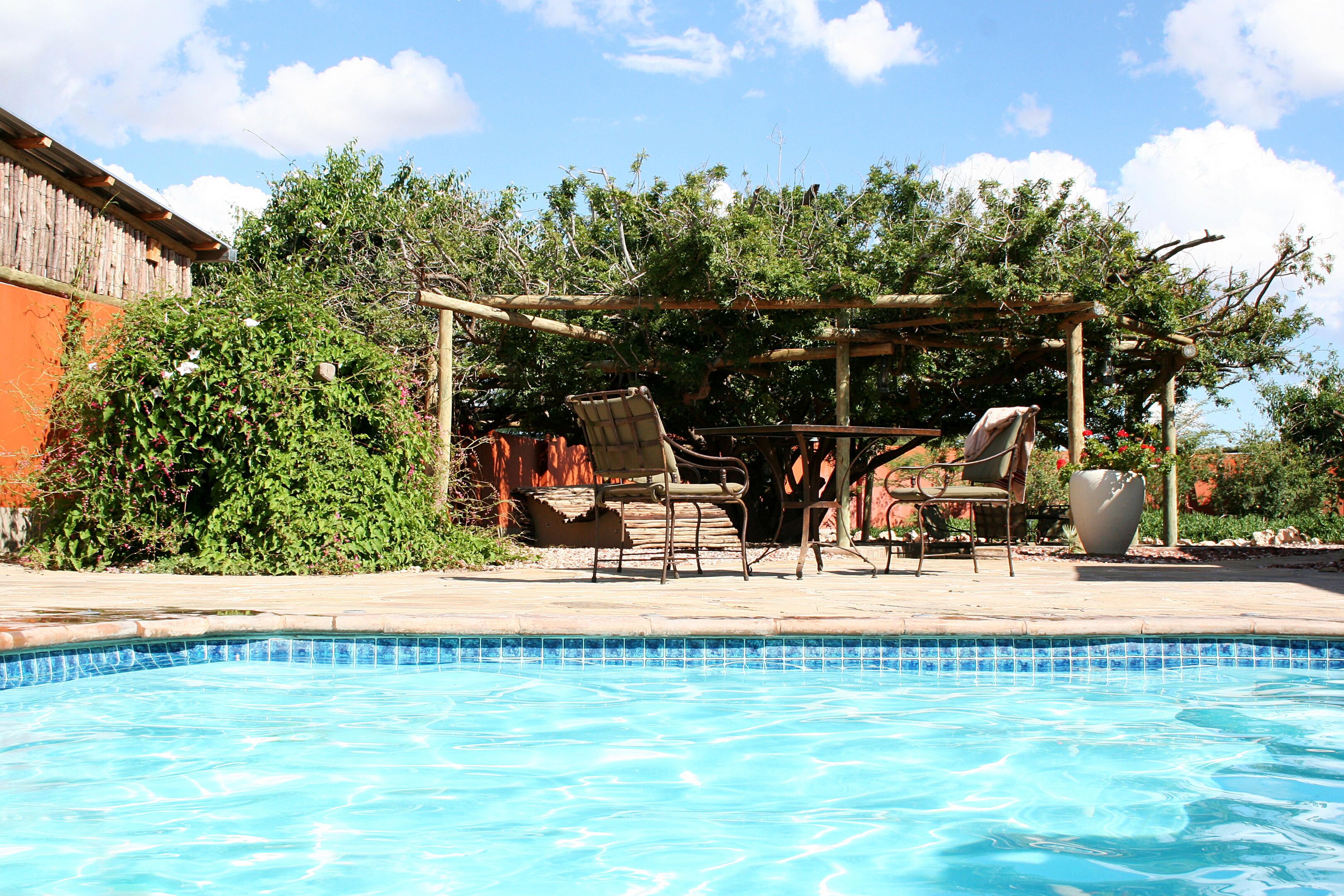 Outdoor pool, pool umbrellas, pool loungers