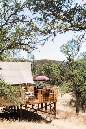 Property grounds - Huttopia Wine Country (Lower Lake)