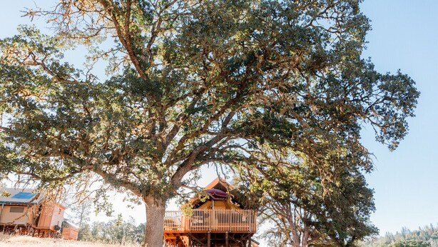 A wooden cabin with a balcony, surrounded by tall trees and dry grass. - Huttopia Wine Country-Northern California (Lower Lake)