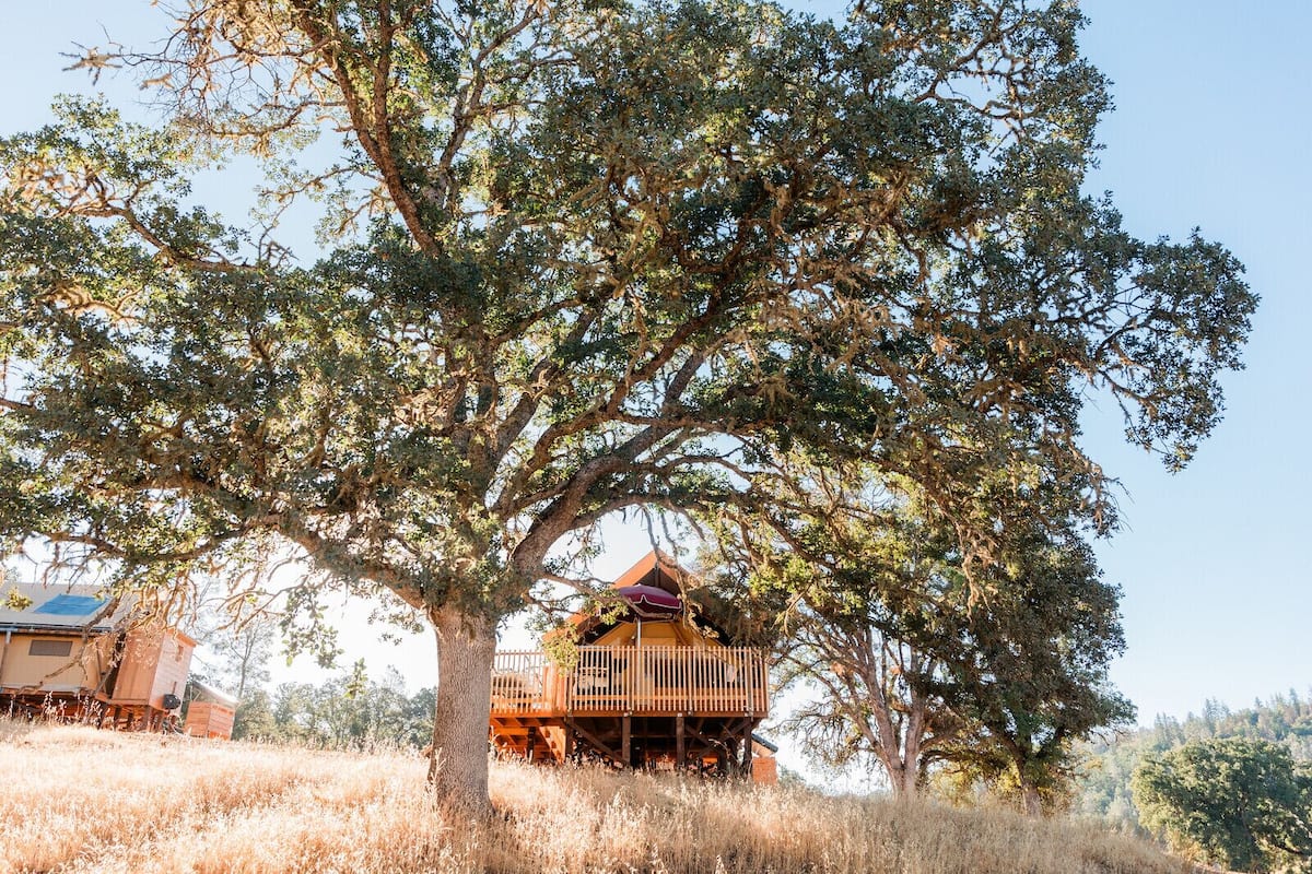 A wooden cabin with a balcony, surrounded by tall trees and dry grass.