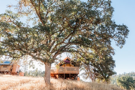 Canadienne Pacific Tent. Huttopia Wine Country-Northern California