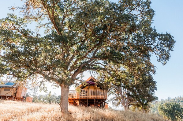 Canadienne Pacific Tent | Individually furnished - Huttopia Wine Country (Lower Lake)