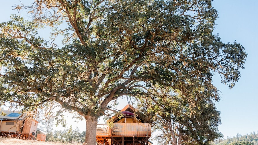 Huttopia Wine Country-Northern California