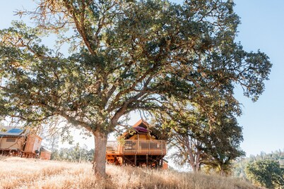 Huttopia Wine Country-Northern California