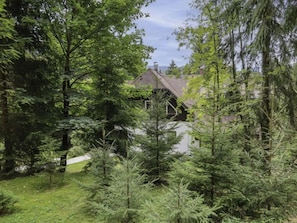 Une maison entourée d’une forêt dense, avec un chemin bien visible menant à l’entrée.