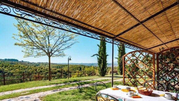 En udendørs terrasse med et spisebord, omgivet af et stråtækt tag og metalgelændere, med udsigt over et frodigt landskab.