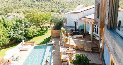 The Nest By Cooking and Nature