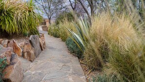 A stone pathway bordered by rocks and various plants. - Ti Melen Boutique Guesthouse l Ondili (Windhoek)