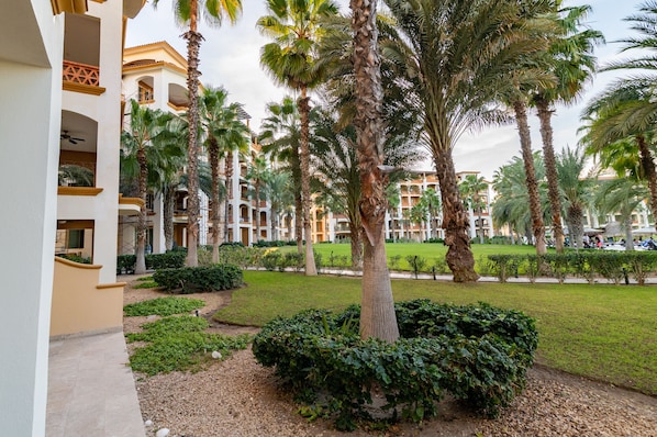 A courtyard with palm trees, a well-maintained lawn, and a building with balconies.