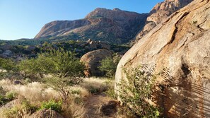 Vue sur la campagne depuis l’hébergement
