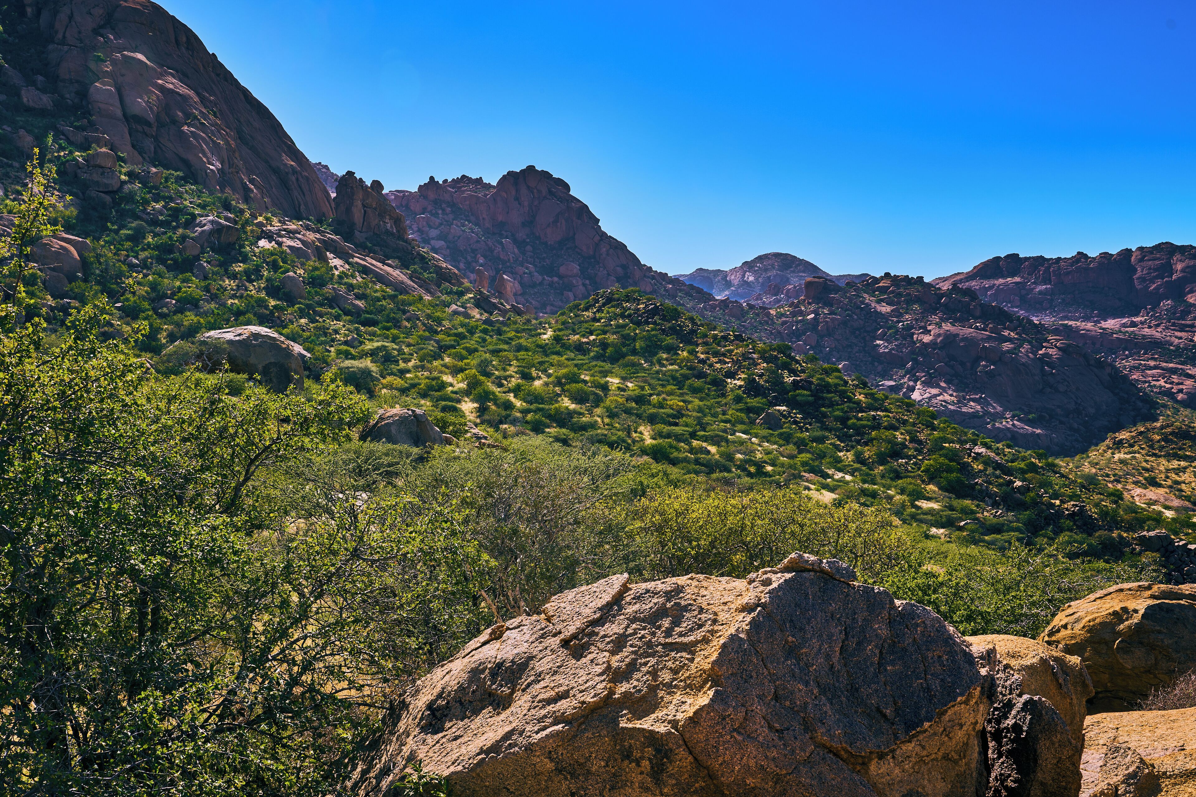 A mountainous landscape with rocky terrain and sparse vegetation.