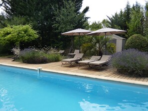 A pool area with lounge chairs and umbrellas, surrounded by greenery and trees.