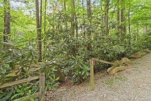 Terrain de l’hébergement 