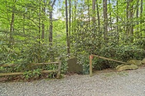 Property grounds - Cozy Mountain Escape in Beech Mountain (Beech Mountain)