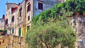 Una calle estrecha con un árbol en el centro, escalones de piedra que conducen a un edificio y un pavimento adoquinado.