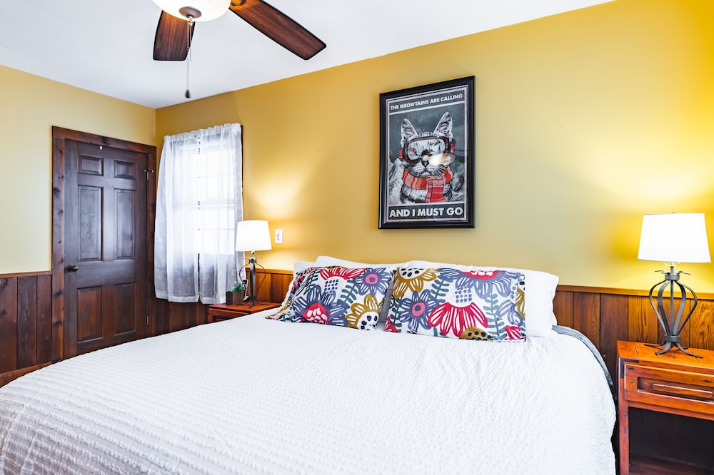 Ski In/ Ski Out, King Bed, Pet Friendly, Fireplace & walking distance