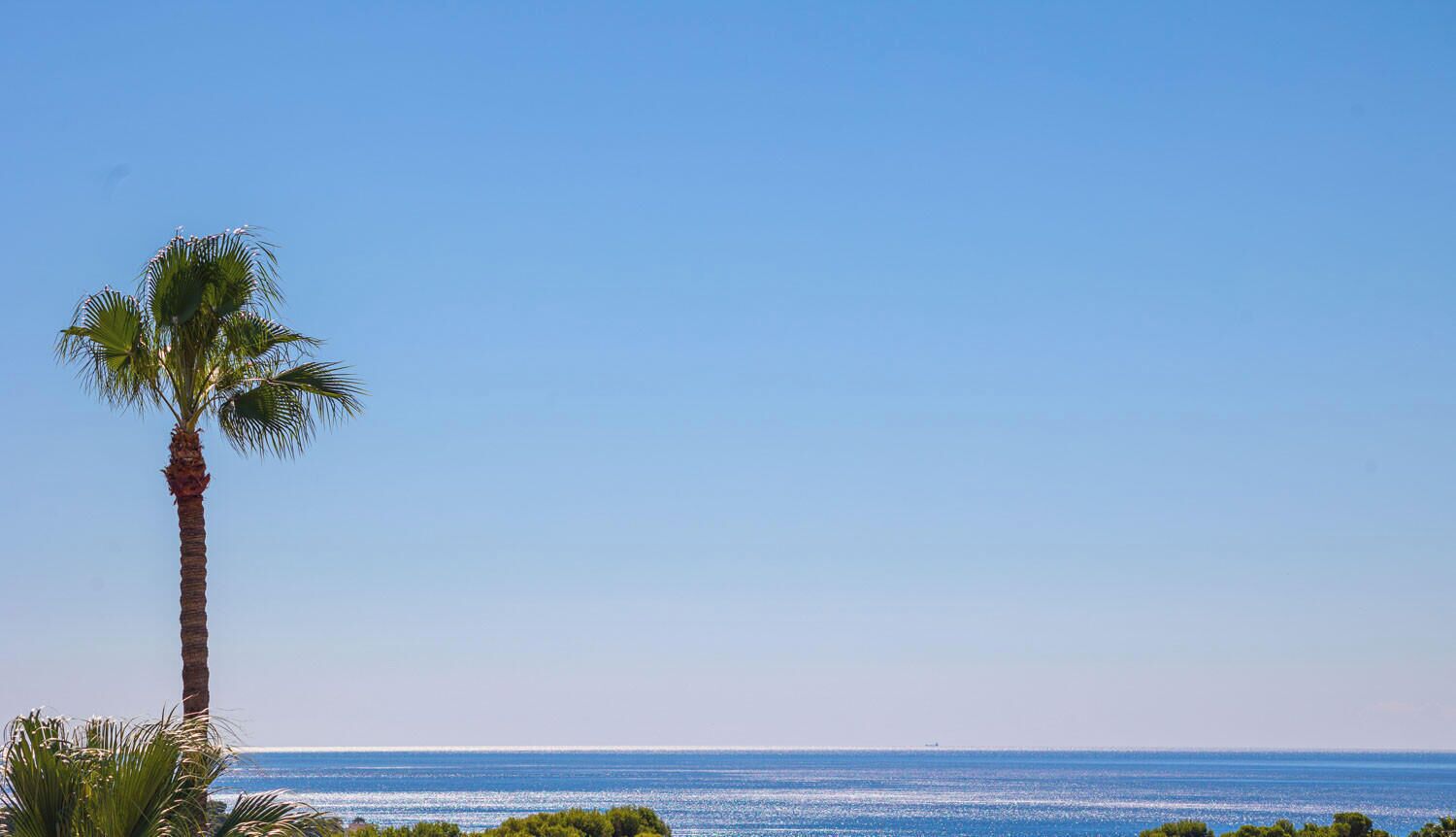 A clear blue sky, a palm tree, and a calm sea.