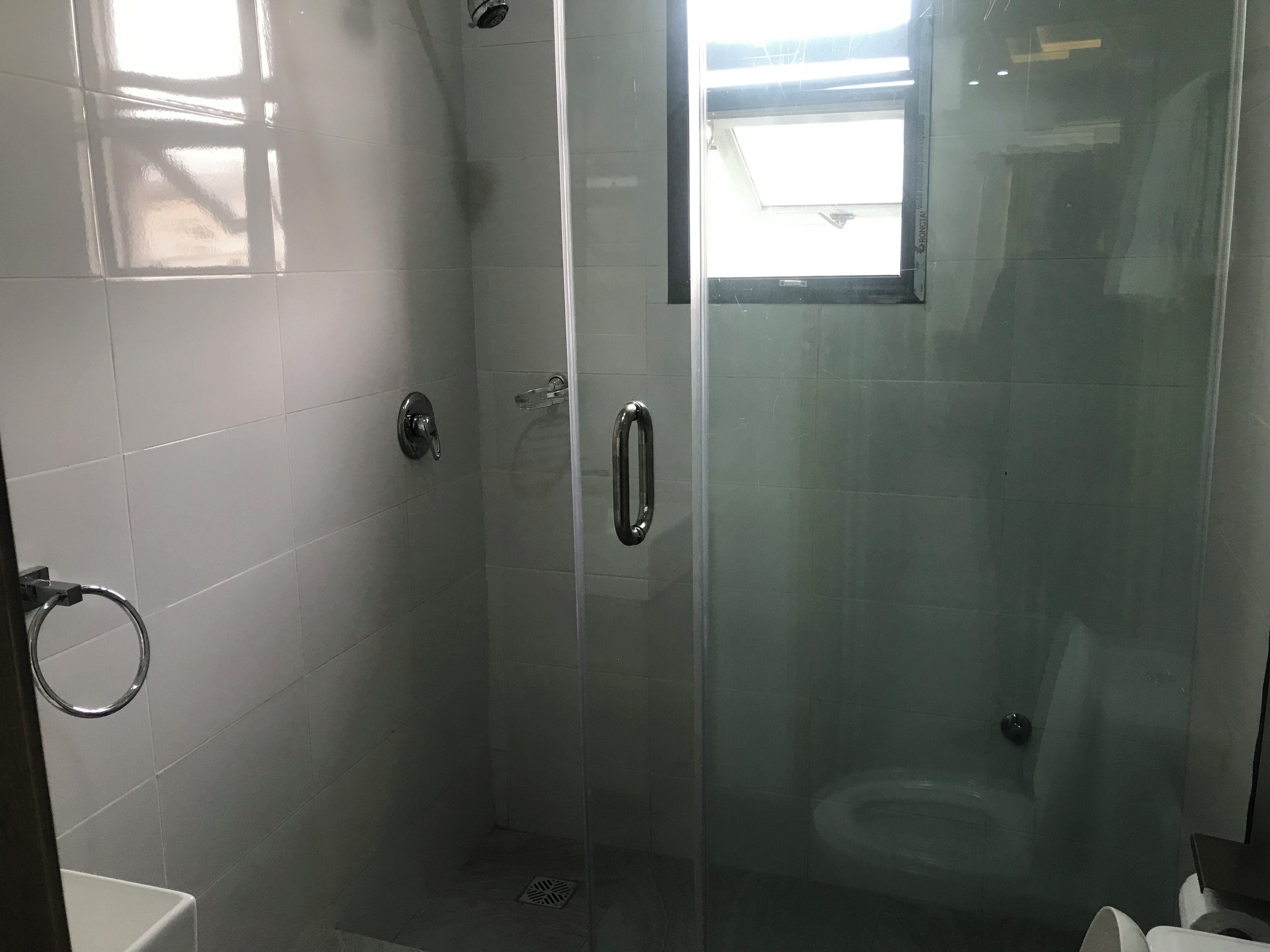 A glass-enclosed shower stall with a toilet, a towel ring, and a door with a handle.