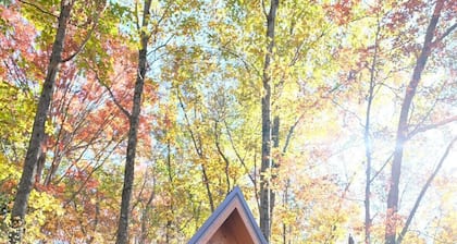 Redwood/Rustic Lakeview Cabin- 2 Person A-Frame