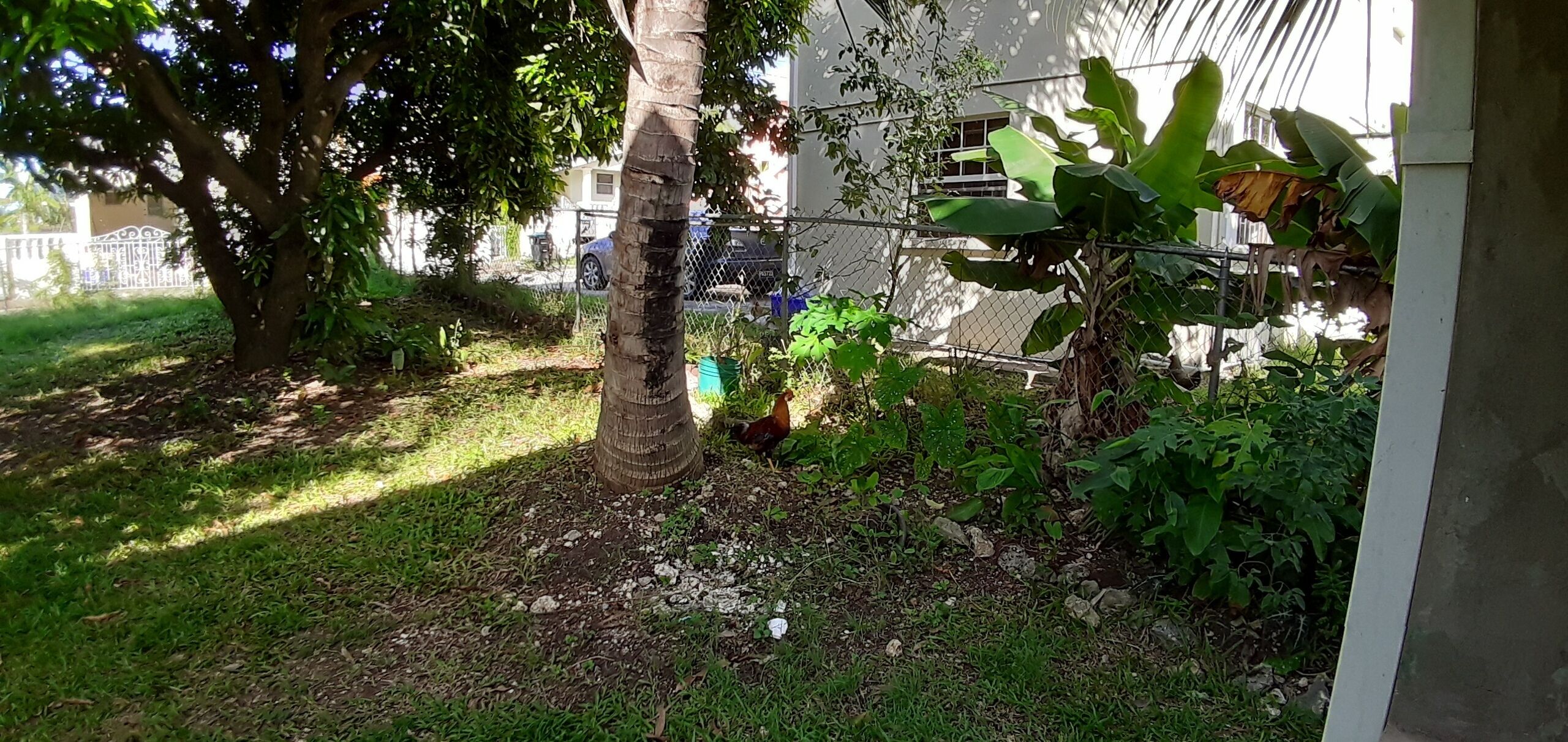 Enceinte de l’hébergement