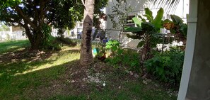 Property grounds - Jan's Villa - 2 bedroom apartment - 5 min from the beach (Douglas)