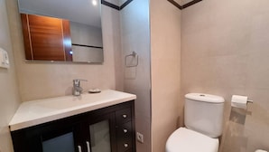 Tina, secadora de cabello, toallas, shampoo 