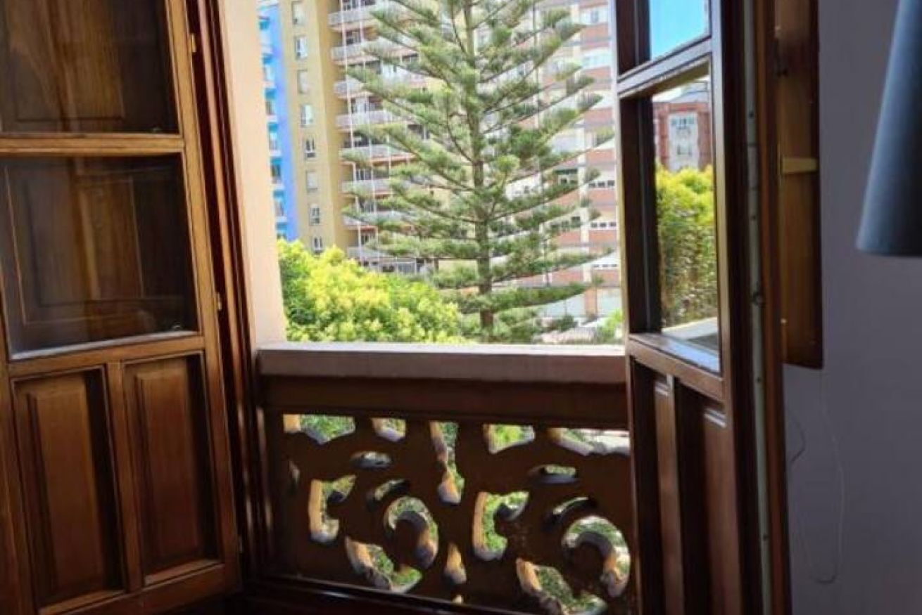 A room with a view of a tall building and a pine tree.