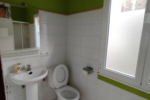A bathroom with a toilet, sink, and a window.