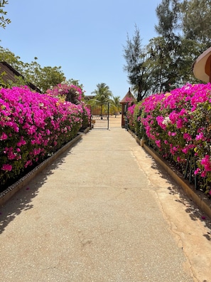 Jardines del alojamiento