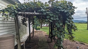 A vine-covered structure with a stone pathway leading to a grassy field. - The Red Mill House (Goldsboro)