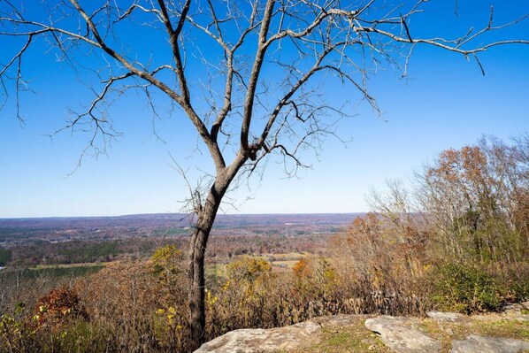 Un paysage où l’on aperçoit, au premier plan, un arbre sans feuilles qui se détache, ainsi qu’un affleurement rocheux, et, au loin, une vallée parsemée d’arbres.