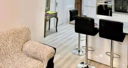 Appartement de Standing au CĆur de Grenoble-Moderne,Lumineux,Confort Absolu!