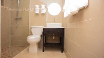 A bathroom with a toilet, a sink, a mirror, and a shower.