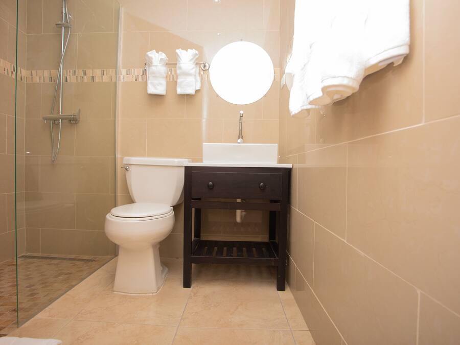 A bathroom with a toilet, a sink, a mirror, and a shower.