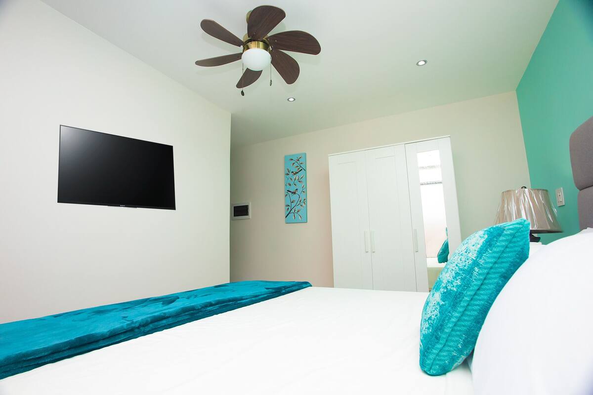 A bedroom with a bed, a ceiling fan, a TV, a door, and a wall-mounted artwork.