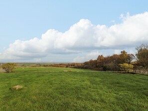 Property grounds - High Barns Cottage (Morpeth)