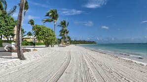 Une plage avec un ciel dégagé, des palmiers et un sentier sablonneux menant à l’eau.