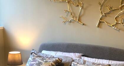 Castle Court Modern 2 Bed Apartment