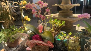 A garden area with various potted plants, a fountain, and a building with decorative wall elements in the background. - Pool & Oceanview, Spacious 4bdrm 2 1/2 ba in a very nice neighborhood. (San Diego)
