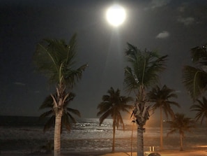 On the beach, sun loungers, beach towels