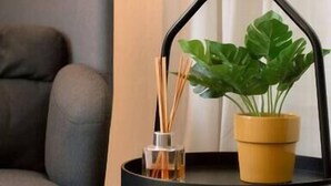 Ein modernes Zimmer mit einem grauen Sessel, einem kleinen schwarzen Beistelltisch mit einem Blumentopf und einem Glasbehälter mit Zweigen.