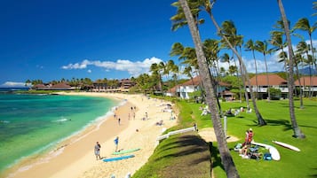 On the beach, sun-loungers, beach towels