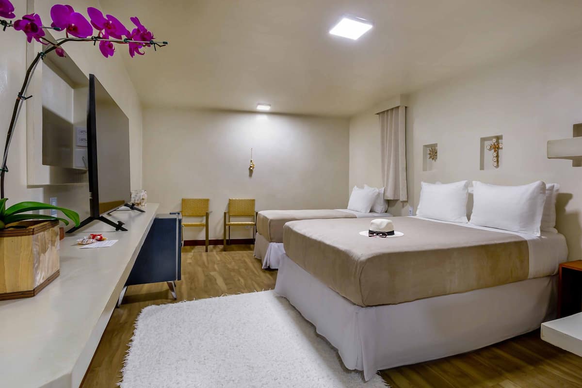 A hotel room with two beds, a desk, a chair, a TV, and a potted plant.