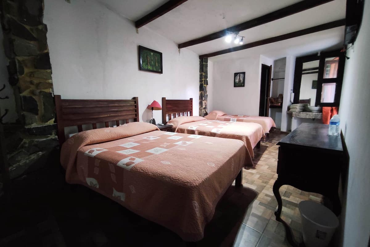 Basic Triple Room, Multiple Beds