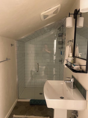 Combined shower/tub, hair dryer, bidet, towels