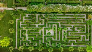 Ein Labyrinthgarten mit einem deutlich erkennbaren Weg und verschiedenen Pflanzenteilen.