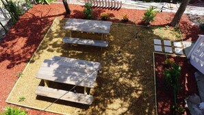 A garden with a wooden table and benches, surrounded by mulch and plants.