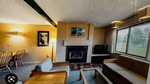 Un salon avec une cheminée, un téléviseur et une grande fenêtre.